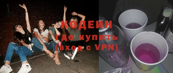 молекула духа Елабуга