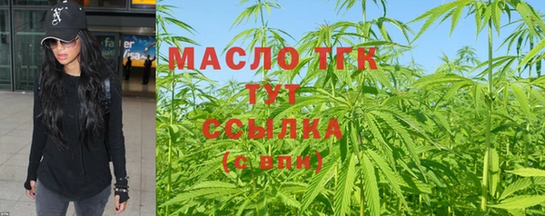 молекула духа Елабуга