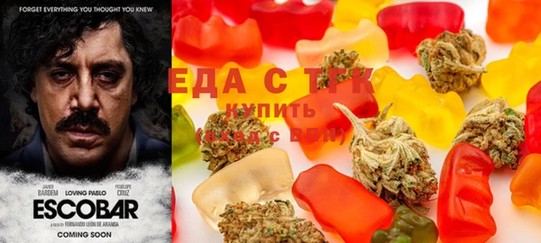 молекула духа Елабуга