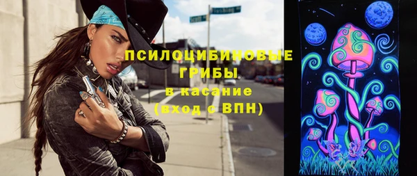 молекула духа Елабуга