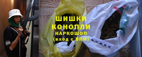 молекула духа Елабуга